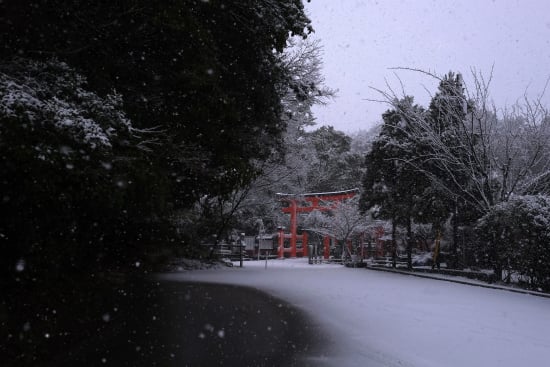 玉津島神社（雪）