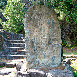 1688年、芭蕉が吉野・高野山・和歌の浦を訪れた折の作。