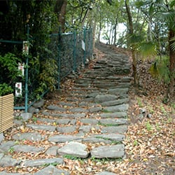 奠供山登りロ
