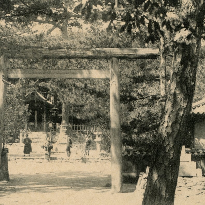 玉津島神社大鳥居