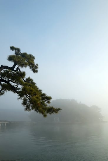 妹背山（霧）