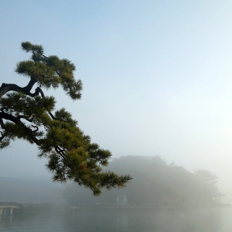 妹背山（霧）