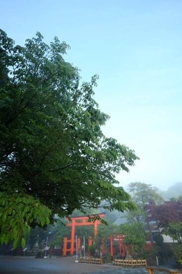 玉津島神社（霧）