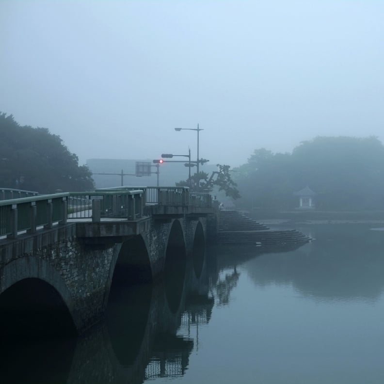 葦辺橋 妹背山